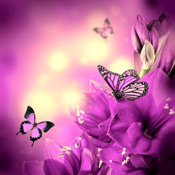 数码印花华亿平台图片