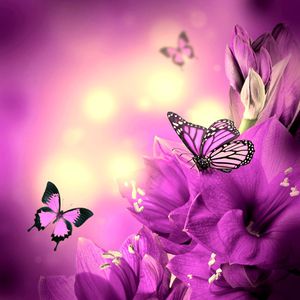 数码印花华亿平台图片