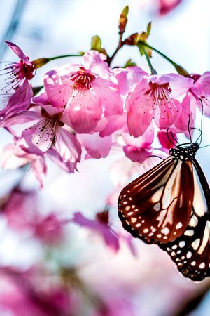 数码印花华亿平台图片