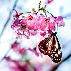 数码印花华亿平台图片