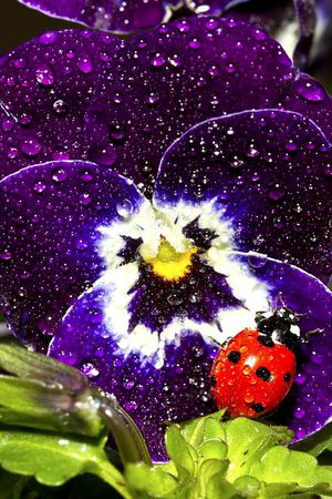 数码印花华亿平台图片