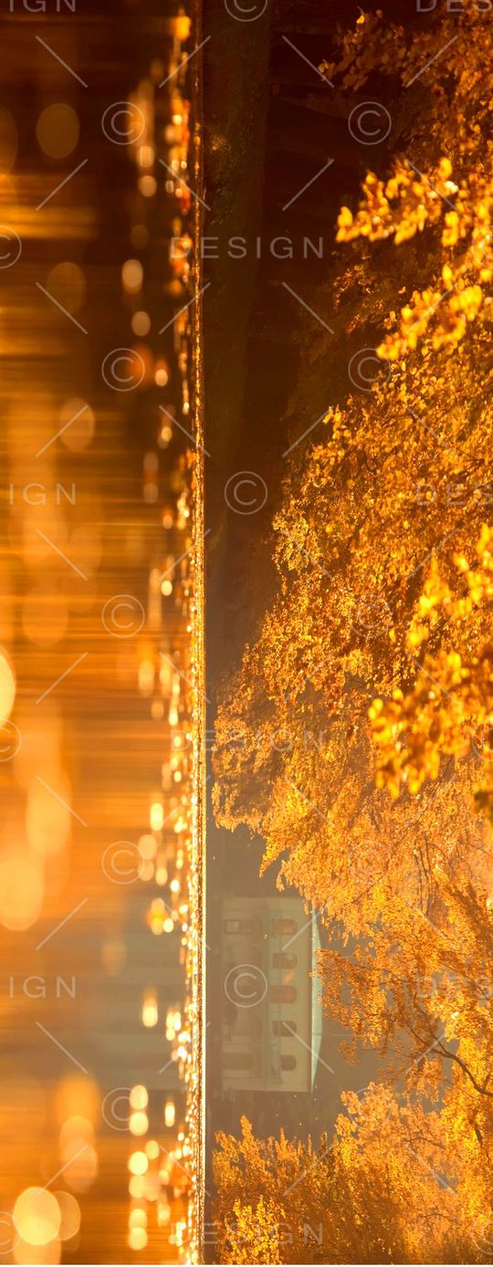 数码印花华亿平台图片