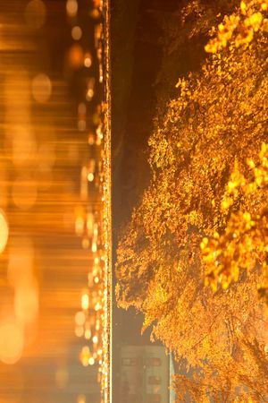 数码印花华亿平台图片