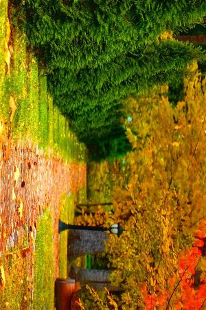 数码印花华亿平台图片