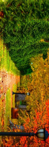 数码印花华亿平台图片