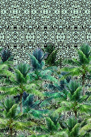 热带印花华亿平台图片