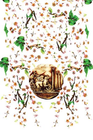 樱花印花华亿平台图片