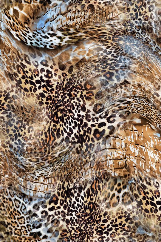 豹纹印花华亿平台图片