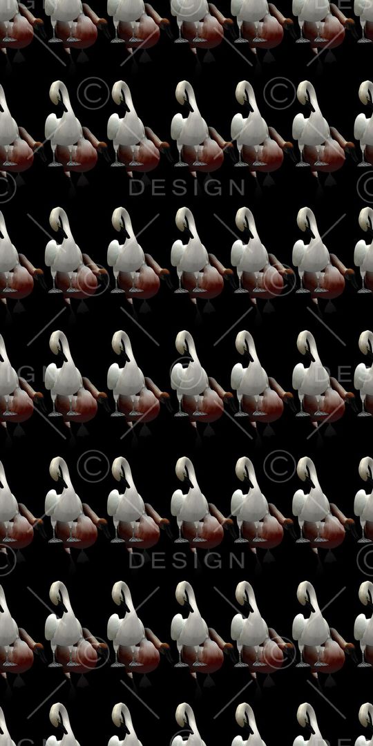 鸟印花华亿平台图片