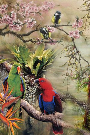 热带印花华亿平台图片