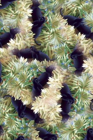 时尚印花华亿平台图片