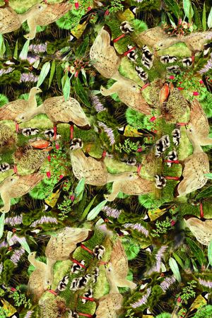 时尚印花华亿平台图片