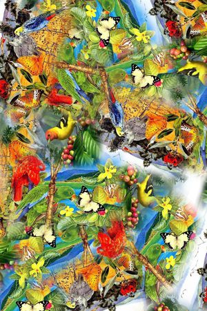 时尚印花华亿平台图片