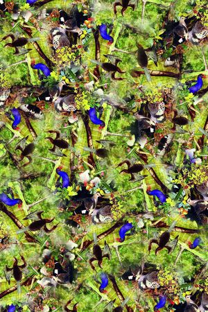 时尚印花华亿平台图片