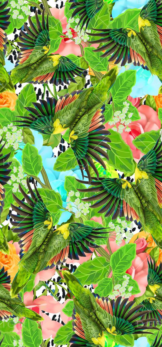 鹦鹉印花华亿平台图片