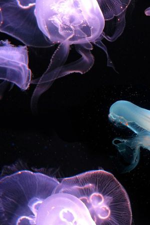 潮流印花华亿平台图片