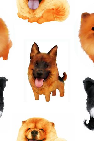 休闲印花华亿平台图片