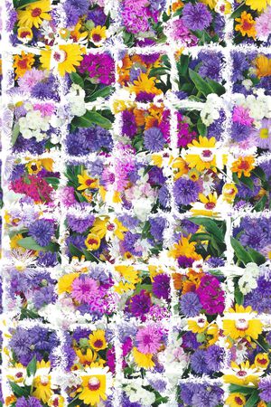 格子印花华亿平台图片