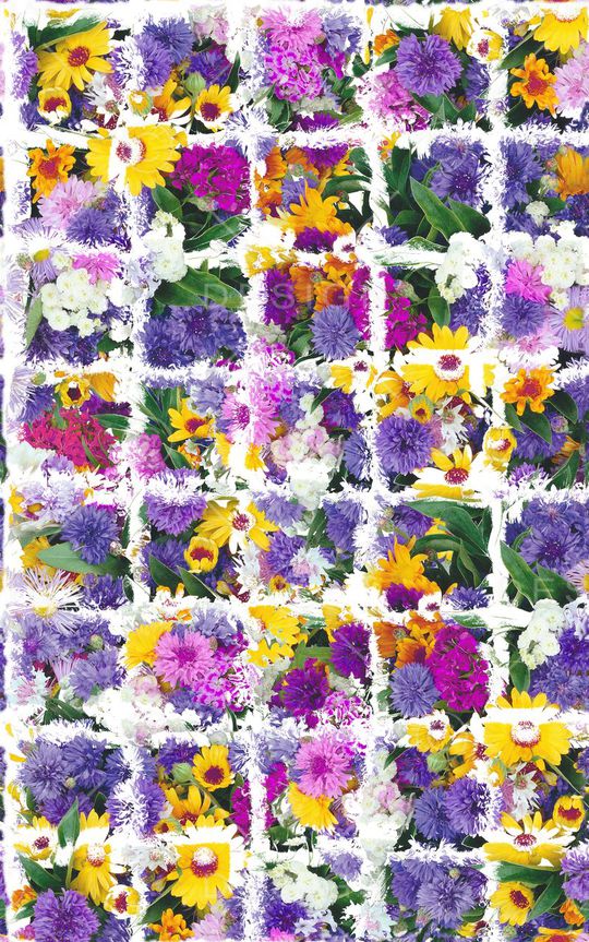 格子印花华亿平台图片