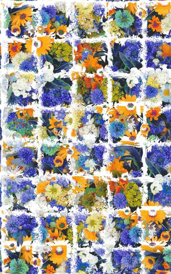 381230-格子花卉花丛白格花卉效果