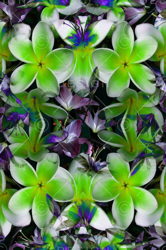 抽像印花华亿平台图片