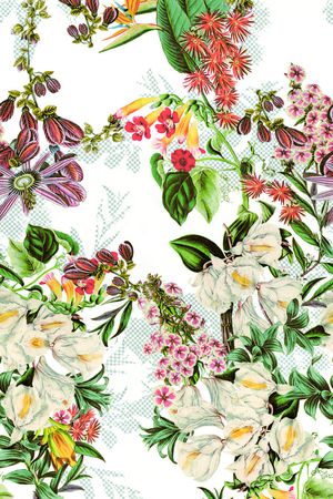 热带植物.印花华亿平台图片