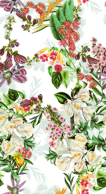 热带植物.印花华亿平台图片