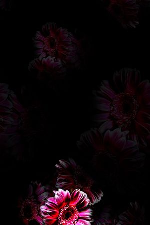 3D印花华亿平台图片