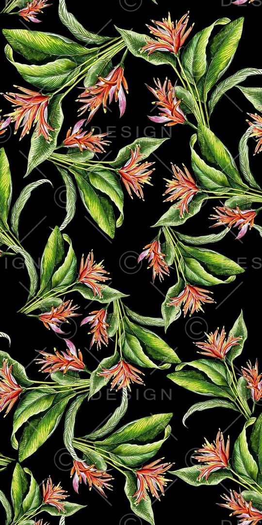 热带黑底印花华亿平台图片