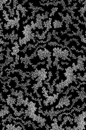 清新印花华亿平台图片