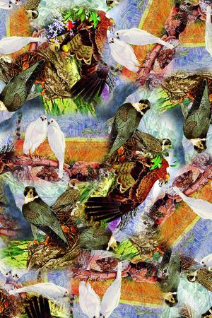 时尚印花华亿平台图片