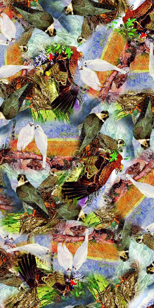 时尚印花华亿平台图片