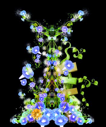 381741-个性女装定位花