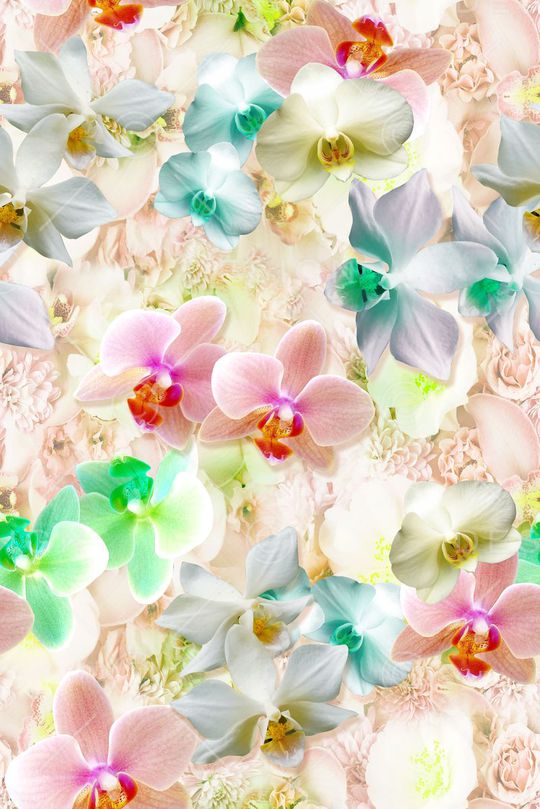 数码花卉女装印花华亿平台图片