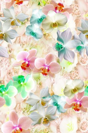 数码花卉女装印花华亿平台图片