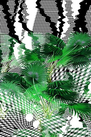 几何热带印花华亿平台图片