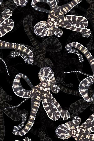 时尚印花华亿平台图片