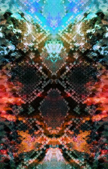 382354-定位虹色蛇纹