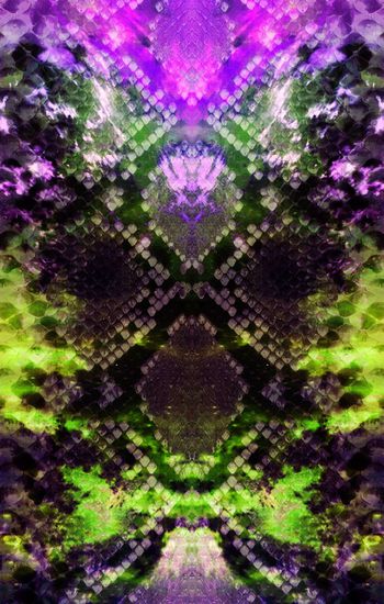 382356-定位虹色蛇纹