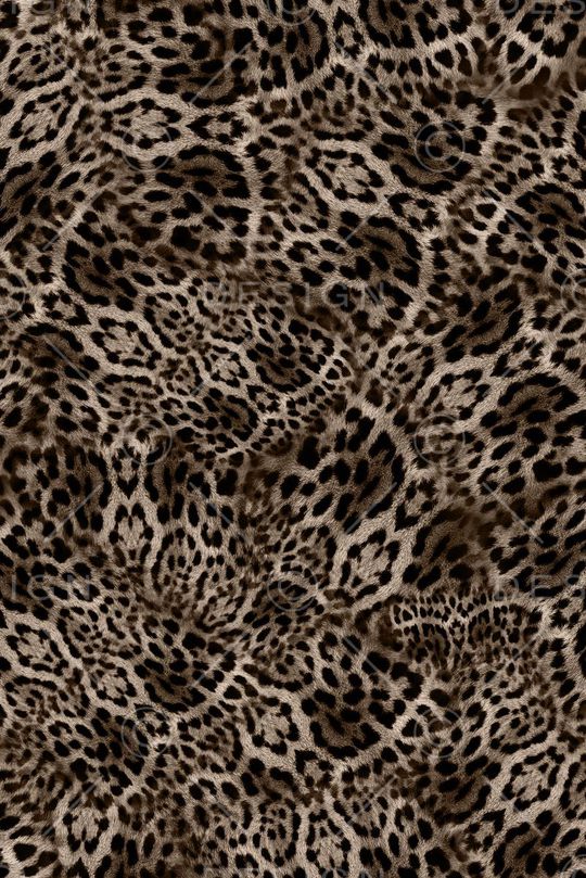 动物纹印花华亿平台图片