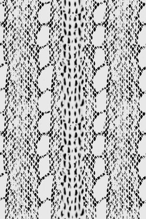 动物纹印花华亿平台图片