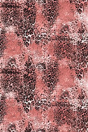 豹纹印花华亿平台图片