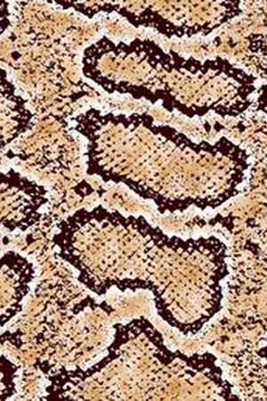 动 物纹印花华亿平台图片