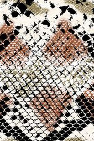 动物纹印花华亿平台图片