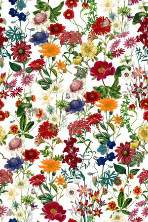 雏菊印花华亿平台图片