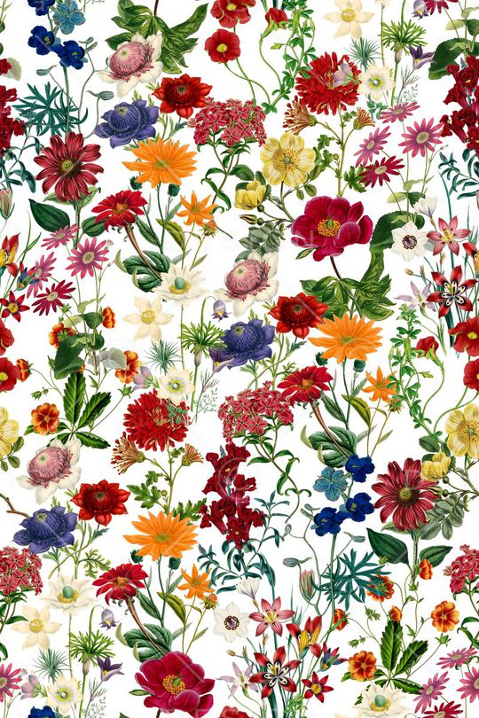 雏菊印花华亿平台图片