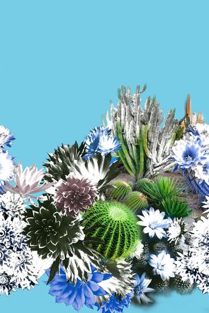 甜美 清新印花华亿平台图片