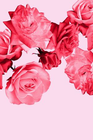 数码定位印花华亿平台图片