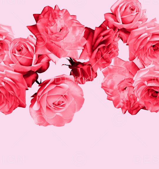 数码定位印花华亿平台图片