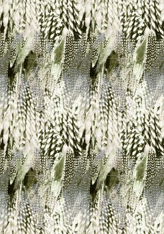 豹纹印花华亿平台图片